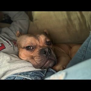 Meet your Posher, Summer